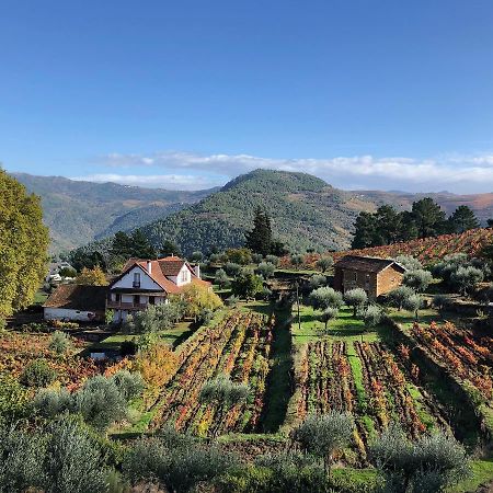 Quinta Vila Rachel - Winery Sao Mamede de Ribatua Dış mekan fotoğraf