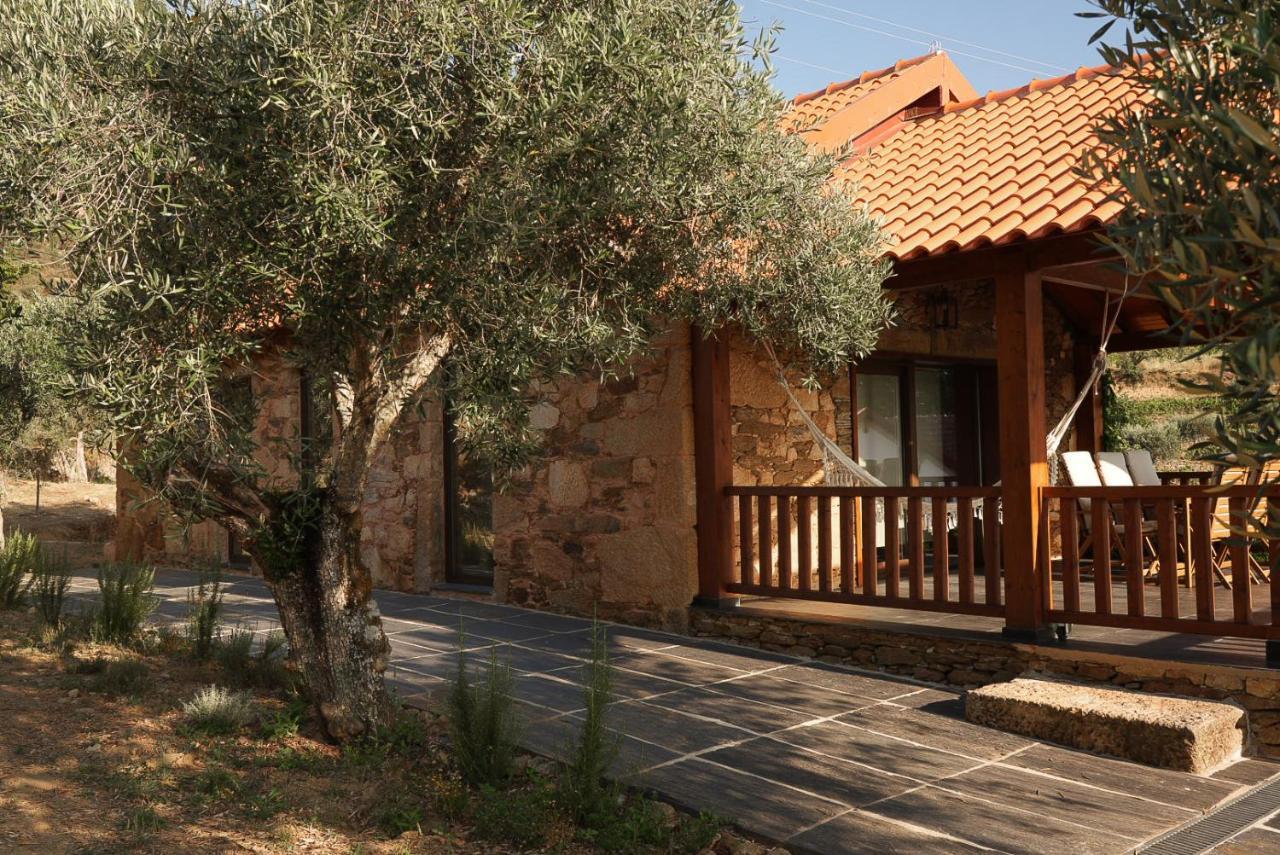 Quinta Vila Rachel - Winery Sao Mamede de Ribatua Dış mekan fotoğraf