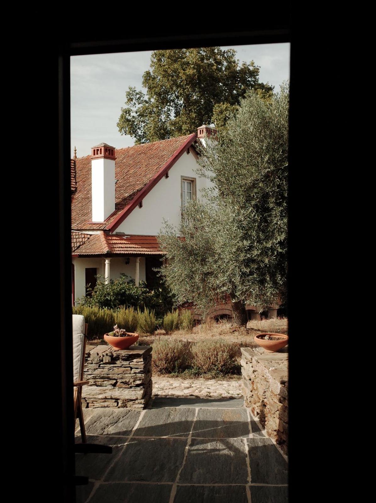 Quinta Vila Rachel - Winery Sao Mamede de Ribatua Dış mekan fotoğraf